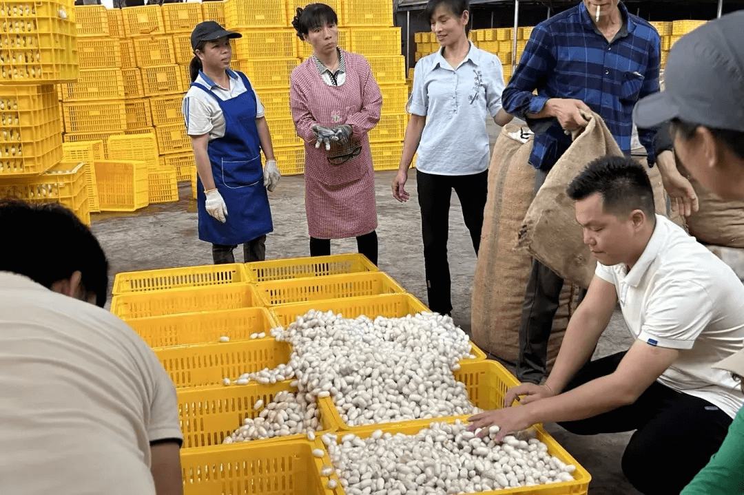 &#29233;&#20307;&#32946;&#23448;&#32593;
